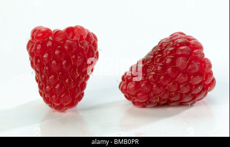 Himbeeren Stockfoto