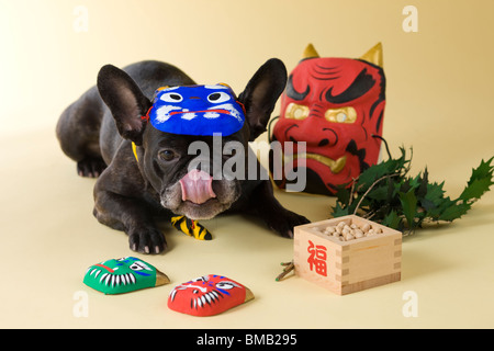 Französische Bulldogge Welpen und Setsubun Stockfoto