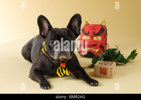 Französische Bulldogge Welpen und Setsubun Stockfoto