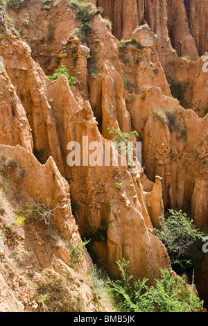 Pyramiden Sandstein, Naturphänomen, Naturgewalten in der Nähe von Stob Dorf, Balkan, Bulgarien, Osteuropa Stockfoto