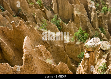 Pyramiden Sandstein, Naturphänomen, Naturgewalten in der Nähe von Stob Dorf, Balkan, Bulgarien, Osteuropa Stockfoto