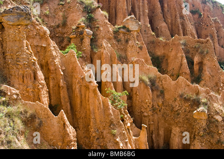 Pyramiden Sandstein, Naturphänomen, Naturgewalten in der Nähe von Stob Dorf, Balkan, Bulgarien, Osteuropa Stockfoto