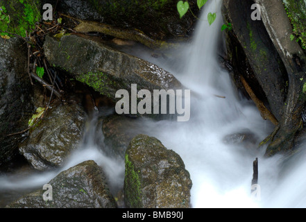 Kleiner Bach aus Olakkayam Elanjippara Wasserfall von Thrissur, Kerala, Indien, Asien Stockfoto