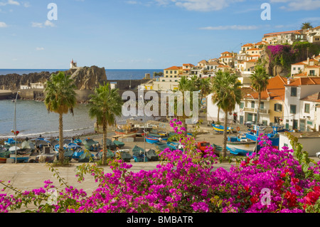 Hafen und den Hafen von Camara de Lobos, mit der traditionellen Fischerei Boote, Südküste von Madeira, Portugal, EU, Europa Stockfoto