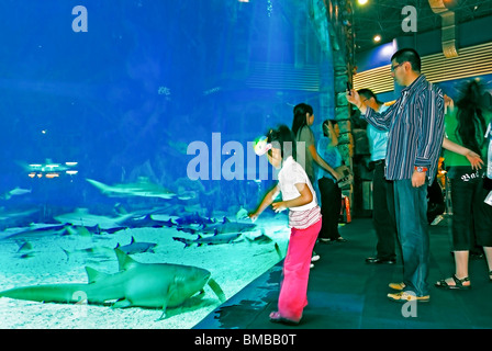 Peking, CHINA, Gruppe Leute, Familie, 'Peking Zoo' Chinesische Touristen beobachten lebende Tiere, stellen Teen Girls vor dem Shark Aquarium aus Stockfoto