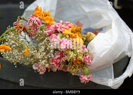 Tote Blumen in den Müll Eimer / Abfalleimer / bin Abfall / Garbage bin Stockfoto
