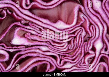 Makro der Rotkohl in zwei Hälften geschnitten Stockfoto
