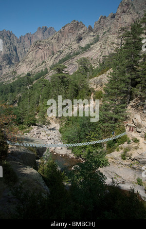 Walker auf Hängebrücke in den Bergen von Korsika Stockfoto