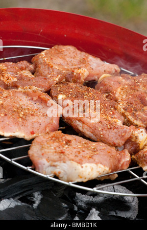 Barbecue-Grill, einige frische treffen geröstet, herrlich Stockfoto