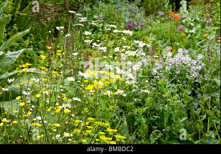 Eine Ecke von Physic Garden in den Zweigen Gärten in Swindon, Wiltshire, England, UK Stockfoto