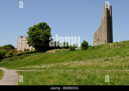St Marys Abbey und den gelben Turm mit Blick auf die irische Stadt von Trim County Meath, Irland Stockfoto