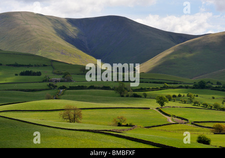 Die Howgill Fells von Firbank. Cumbria, England, Vereinigtes Königreich, Europa. Stockfoto