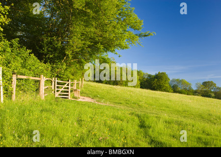 Pfad und Tor im Bereich von Wäldern. Ranmore Common, North Downs, Surrey, UK