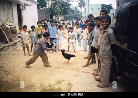Eine Gruppe von Kindern im Slum Ragigudda, einer Slumstadt im südlichen Teil von Bangalore, versucht, einen Hahnenkampf in Südindien zu orchestrieren. Stockfoto