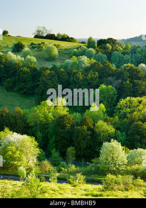 Box Hill im Zick-Zack, Surrey, UK. Frühling Stockfoto