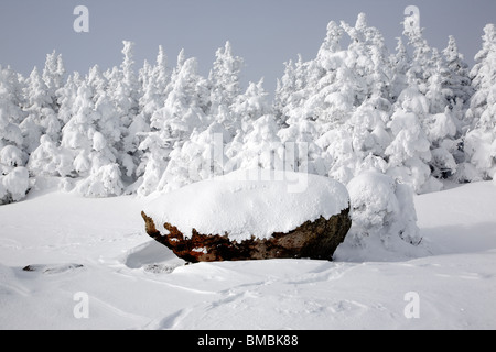 Der Gipfel des Mount Osceola in den White Mountains, New Hampshire USA während der Wintermonate Stockfoto