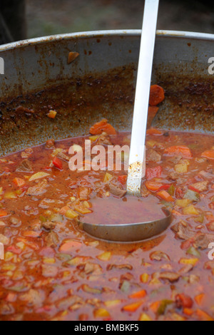 Gulasch ist in erster Linie eine Suppe, die auch als Eintopf, in der Regel aus Rindfleisch, Zwiebeln, Gemüse, Gewürze und Boden Paprika Pulver existieren. Stockfoto