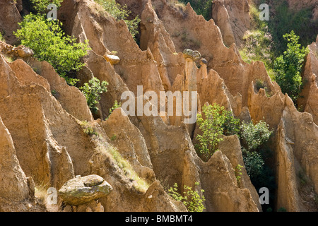 Pyramiden Sandstein, Naturphänomen, Naturgewalten in der Nähe von Stob Dorf, Balkan, Bulgarien, Osteuropa Stockfoto