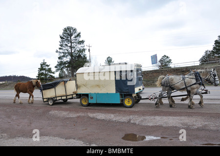 Wagonteamster - Wagen und Pferd Art des Reisens, USA Stockfoto