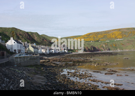 Gardenstown und gamrie bay Schottland Mai 2010 Stockfoto