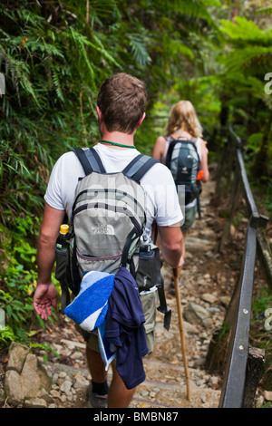 Paar durch tropischen Wald auf dem Mt. Kinabalu Summit Trail wandern. Kinabalu National Park, Sabah, Borneo, Malaysia. Stockfoto