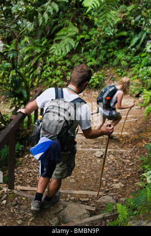 Paar durch tropischen Wald auf dem Mt. Kinabalu Summit Trail wandern. Kinabalu National Park, Sabah, Borneo, Malaysia Stockfoto