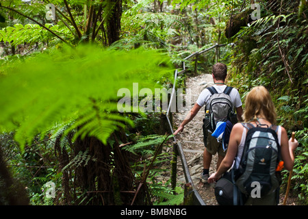 Paar durch tropischen Wald auf dem Mt. Kinabalu Summit Trail wandern. Kinabalu National Park, Sabah, Borneo, Malaysia Stockfoto