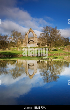 Ansicht von Bolton Priory, ein Augustiner Kloster mit Trittsteine crossing The River Wharfe, in der Nähe von Skipton, Yorkshire Dales, UK Stockfoto