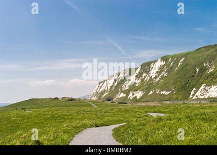 Das Naturschutzgebiet, Samphire Hoe, in der Nähe von Dover, Kent Stockfoto