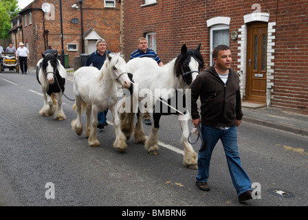 Gypsy jährliche Horse Fair. Wickham Hampshire UK. Gypsy führenden Pferd in die Stadt, die zum Verkauf 2010 s HOMER SYKES Stockfoto