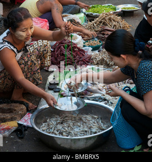 Myanmar. Burma. Yangon. Straßenmarkt Stockfoto