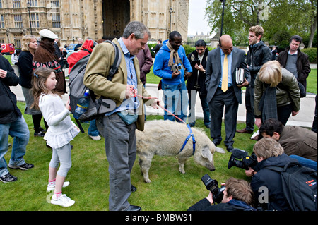 Steve Howell und seine Tochter, Alex mit Scarlett das wollige Schwein und Bewunderer am College Green, Westminster, London Stockfoto