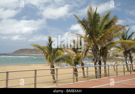 Stadt Strand Las Canteras in Las Palmas de Gran Canaria, Spanien Stockfoto