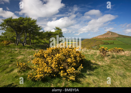 Nähe Topping, eines der Cleveland Hills, gesehen hier in einer klaren Frühlingstag, in der Nähe von Great Ayton, North Yorkshire, UK Stockfoto