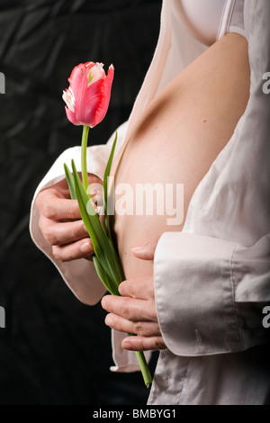 Nahaufnahme von der schwangeren Frau halten rote Tulpe. Stockfoto