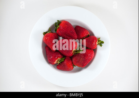 Weiße Schale mit ein paar Erdbeeren Studio Bild Stockfoto