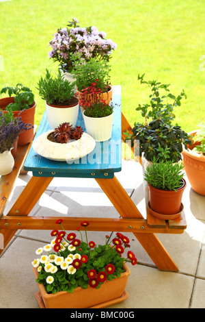 Kleinen Kräuter- und Blumengarten auf Terrasse oder Dach gebaut Stockfoto