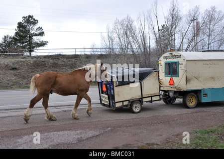 Wagonteamster - Wagen und Pferd Art des Reisens, USA Stockfoto