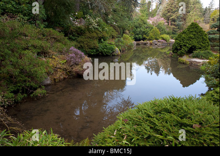 Kubota Garten Seattle Washington State USA mit schönen Blumen und Teiche und Wege durch den Garten. Stockfoto