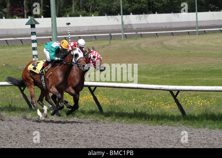 Zwei Rennpferde und ihren Jockeys drehen die Biegung in einem Kopf-an-Kopf-Kampf um die Ziellinie zu erreichen. Stockfoto