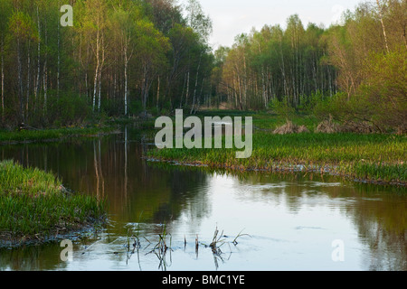 Prandi Fluss im Frühling Stockfoto