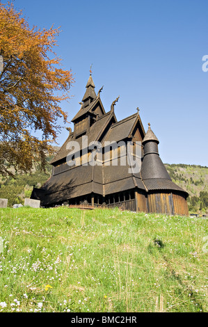 Die schöne Hopperstad norwegischen hölzerne Stabkirche in Vik mit bunten Coppr Buche Baum Sognefjord Norwegen Stockfoto