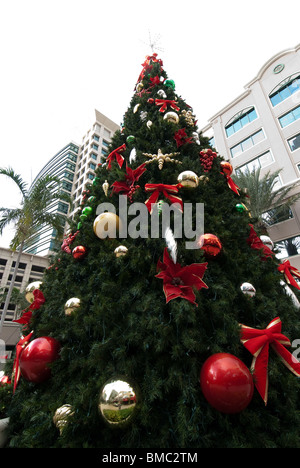Weihnachtsbaum am Las Olas Boulevard im Stadtzentrum von Fort Lauderdale, Florida, Vereinigte Staaten Stockfoto