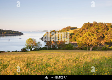 Sonnenaufgang mit Blick auf den Fluss Fal, Cornwall UK Stockfoto