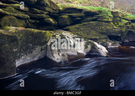 Strid, The River Wharfe ist durch einen schmalen Kalkstein-Kanal hier auf The Bolton Abbey Estate, Yorkshire Dales, UK gezwungen. Stockfoto