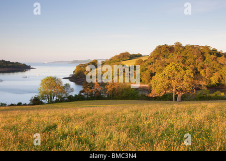 Sonnenaufgang mit Blick auf den Fluss Fal, Cornwall UK Stockfoto