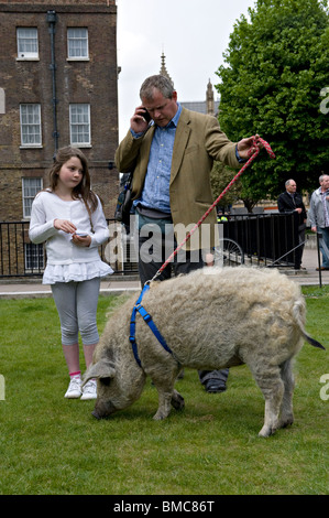 Steve Howell mit Tochter Alex und Scarlett das wollige Schwein Stockfoto