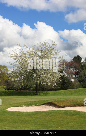 Der Tytherington Club war einer von Großbritanniens erste Custom-Built Golf und Gesundheit und Fitness Clubs, 1986 öffnen Stockfoto