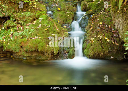Kleiner grüner Wasserfall, Fluss Gradac, Natur von Serbien Stockfoto