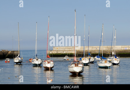 Yachten und Boote bei Ebbe in Bray Hafen, einem Badeort südlich von Dublin im County Wexlow Irland Stockfoto